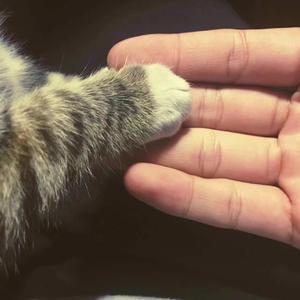 出租房嫖妓女打一炮
